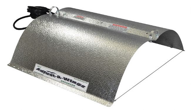 Wings Enforcer Medium