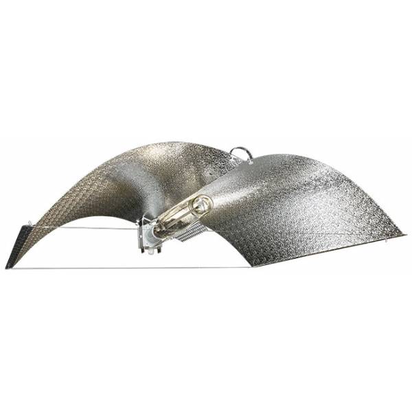 Wings Enforcer Medium